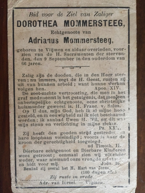 Mommersteeg Dorothea 1903