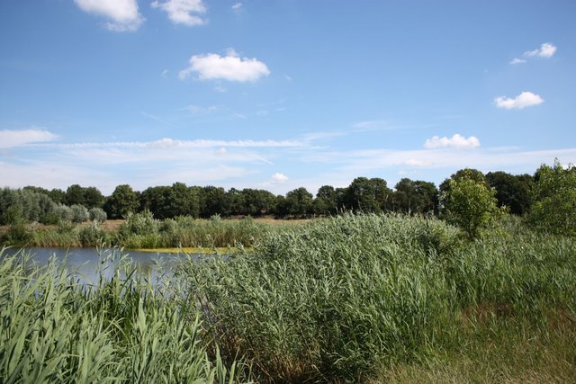 Driewiel - polder de Zeeg - Drunen / Nieuwkuijk